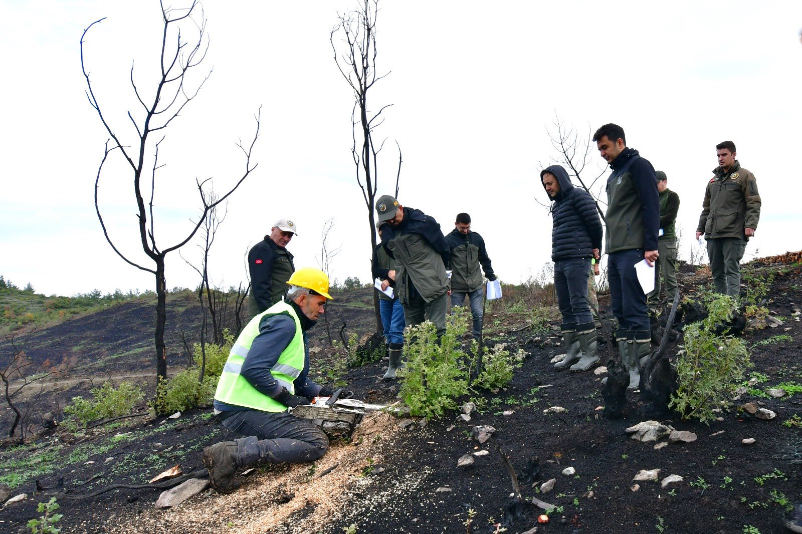 592048423 1310429317792070 4657718904749128494 N