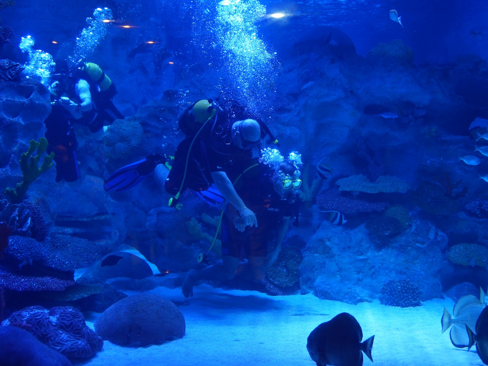 592657770 1337466284844181 3295917307273850337 N