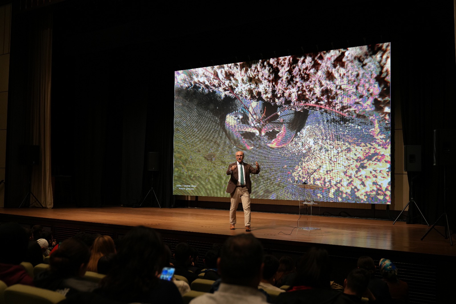 592759662 1335888315001978 8921566339702292154 N