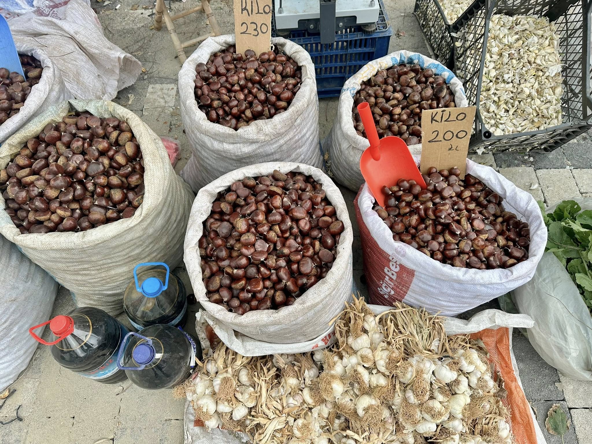 593427751 1173603338290414 8826861766336975957 N