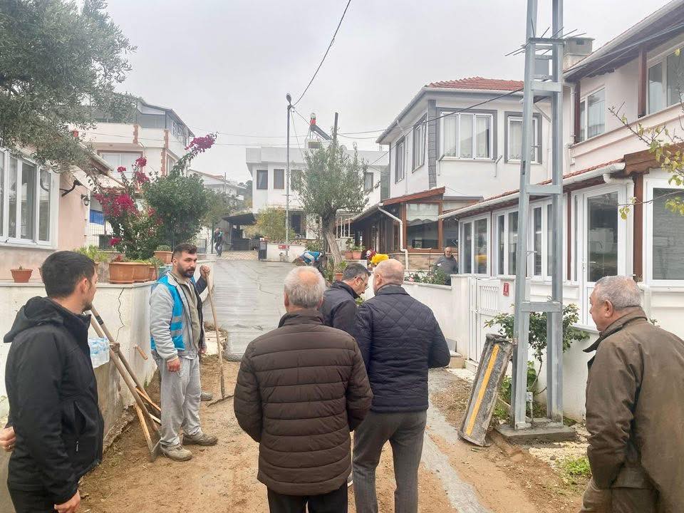 593453222 1235263711968637 9089029035695527662 N