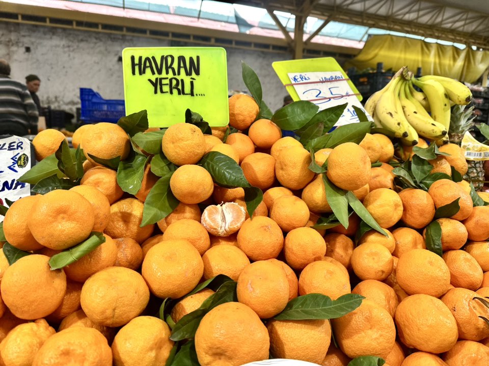 593540577 1173602461623835 3519647841293928581 N