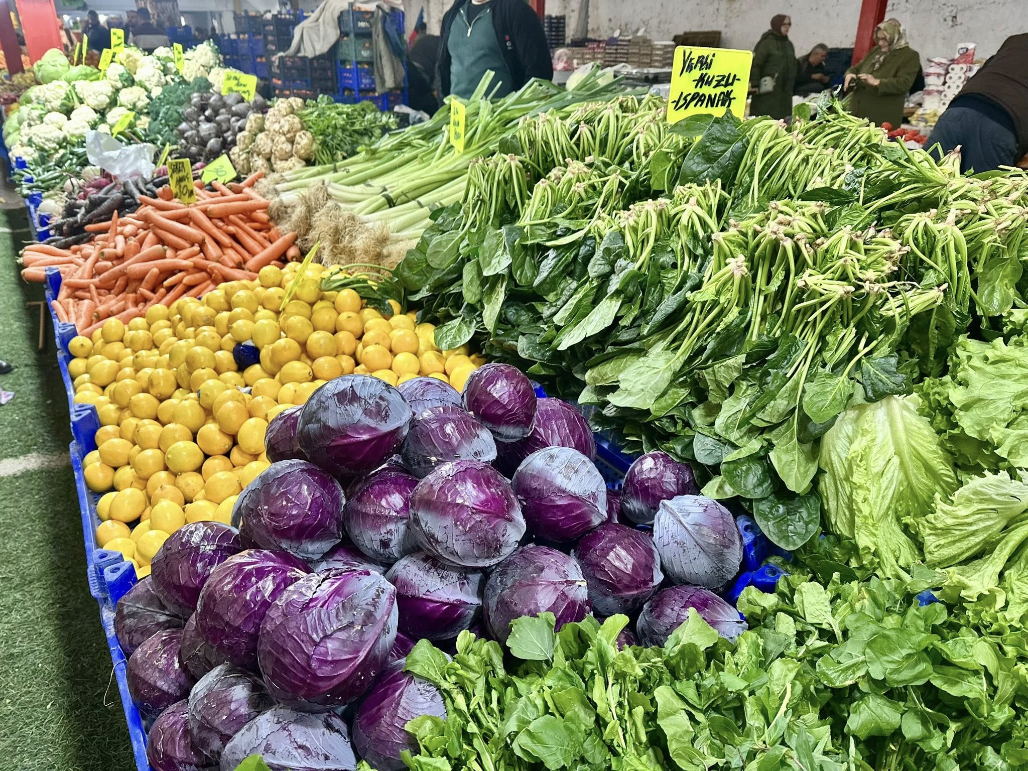 593541414 1173603341623747 6613565078375629961 N