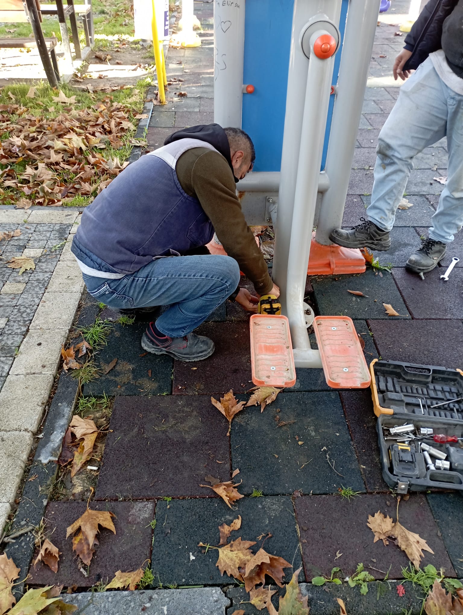 593947808 860057393051954 1295003404922973344 N