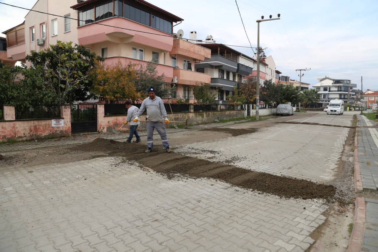 594067541 861377876253239 856556471164637792 N