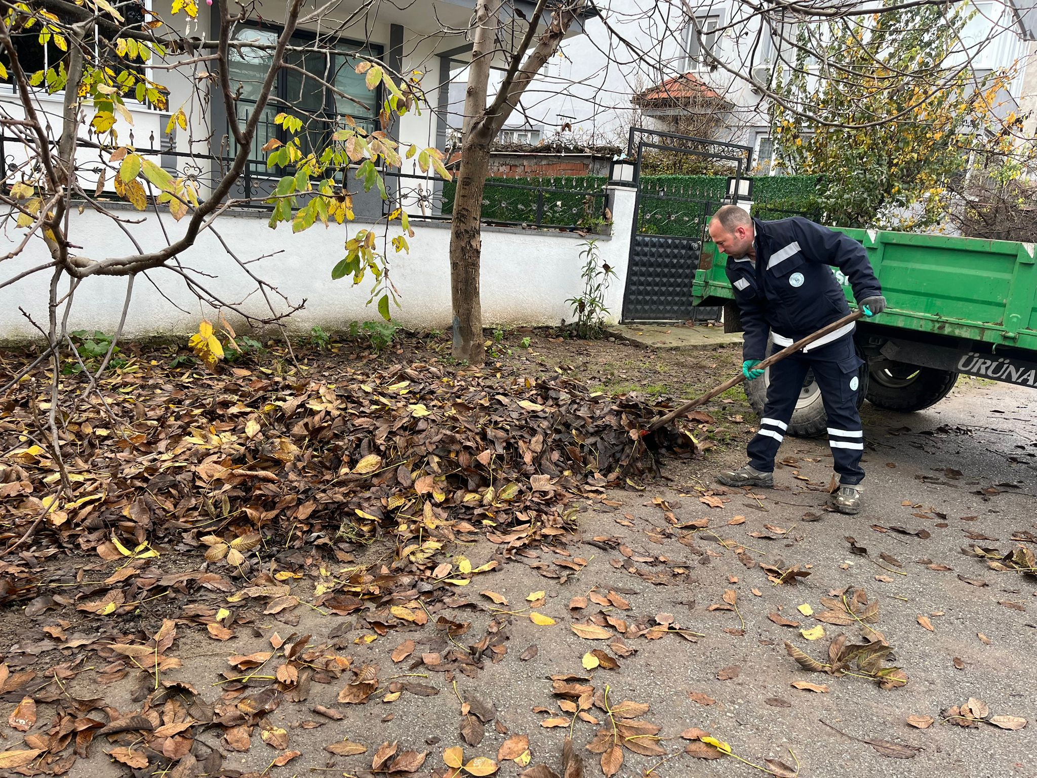 594078426 1174931091506553 4066797193680195727 N