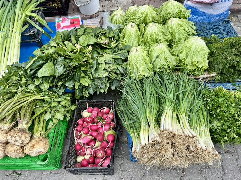 594266721 1173602401623841 2084529273864176656 N