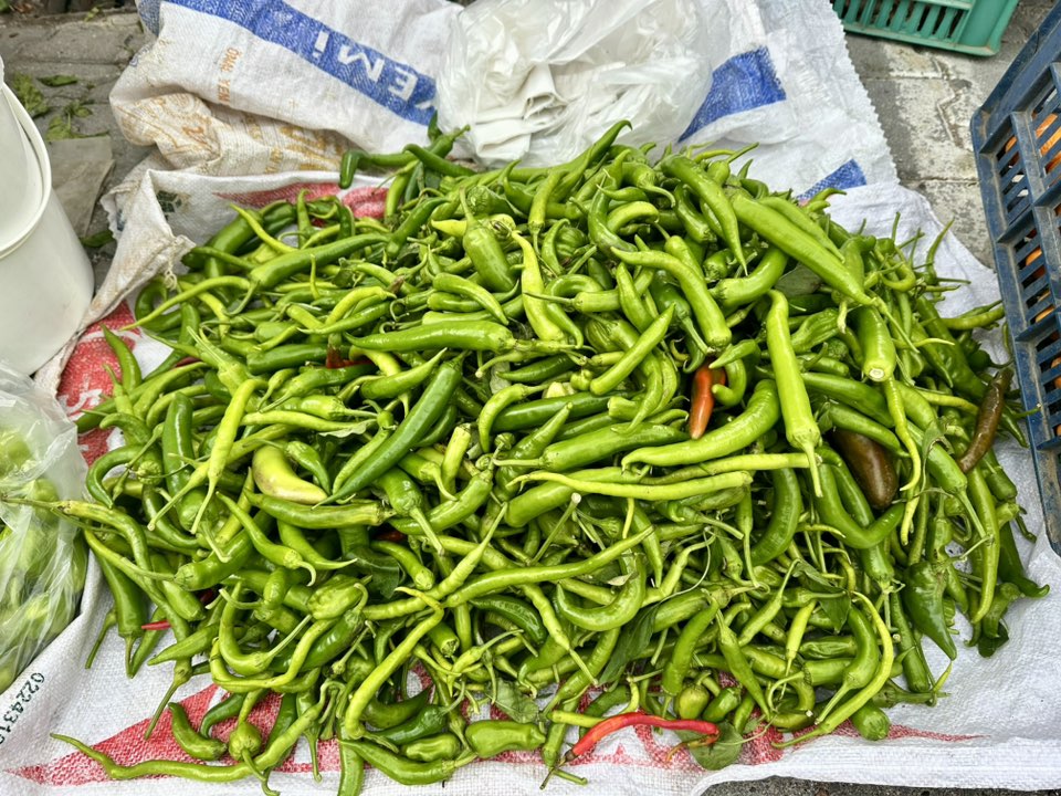 594266730 1173602764957138 280543395203551865 N