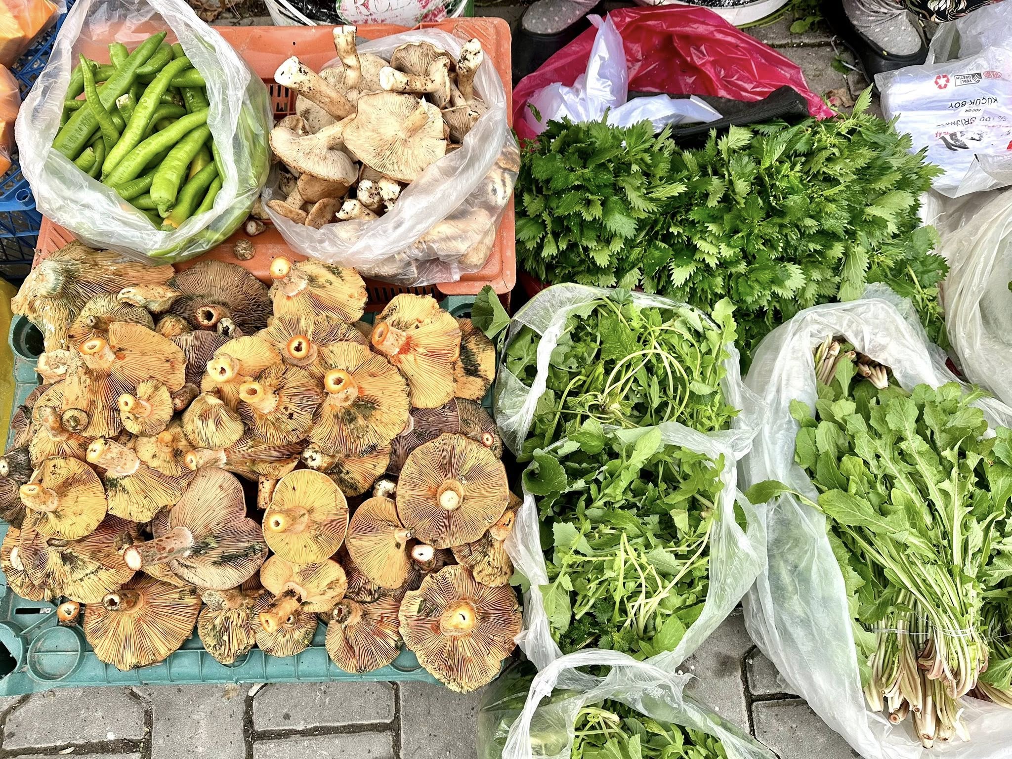 594457254 1173603798290368 62187176194986316 N