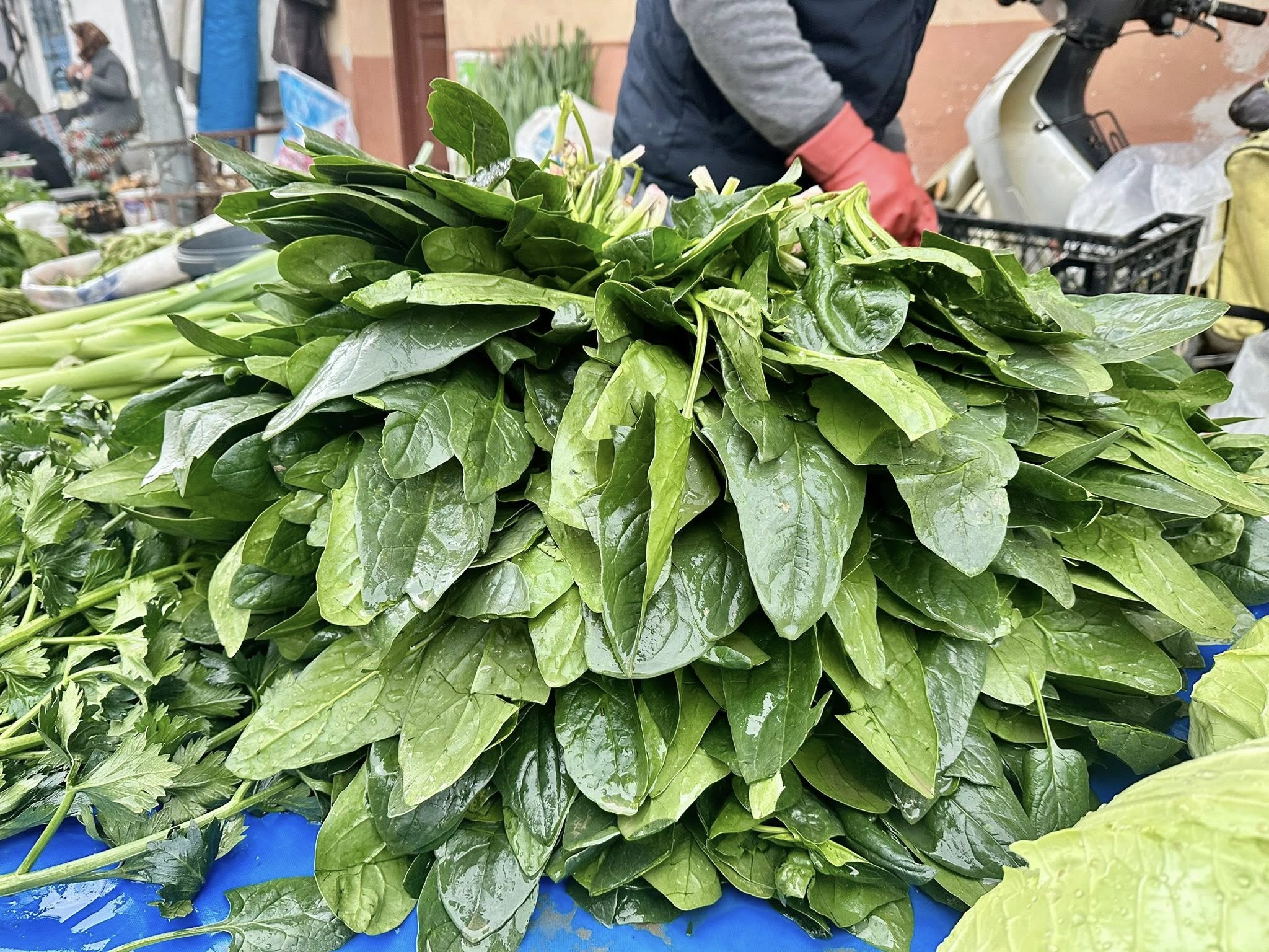 594518185 1173603744957040 6063390655989060278 N