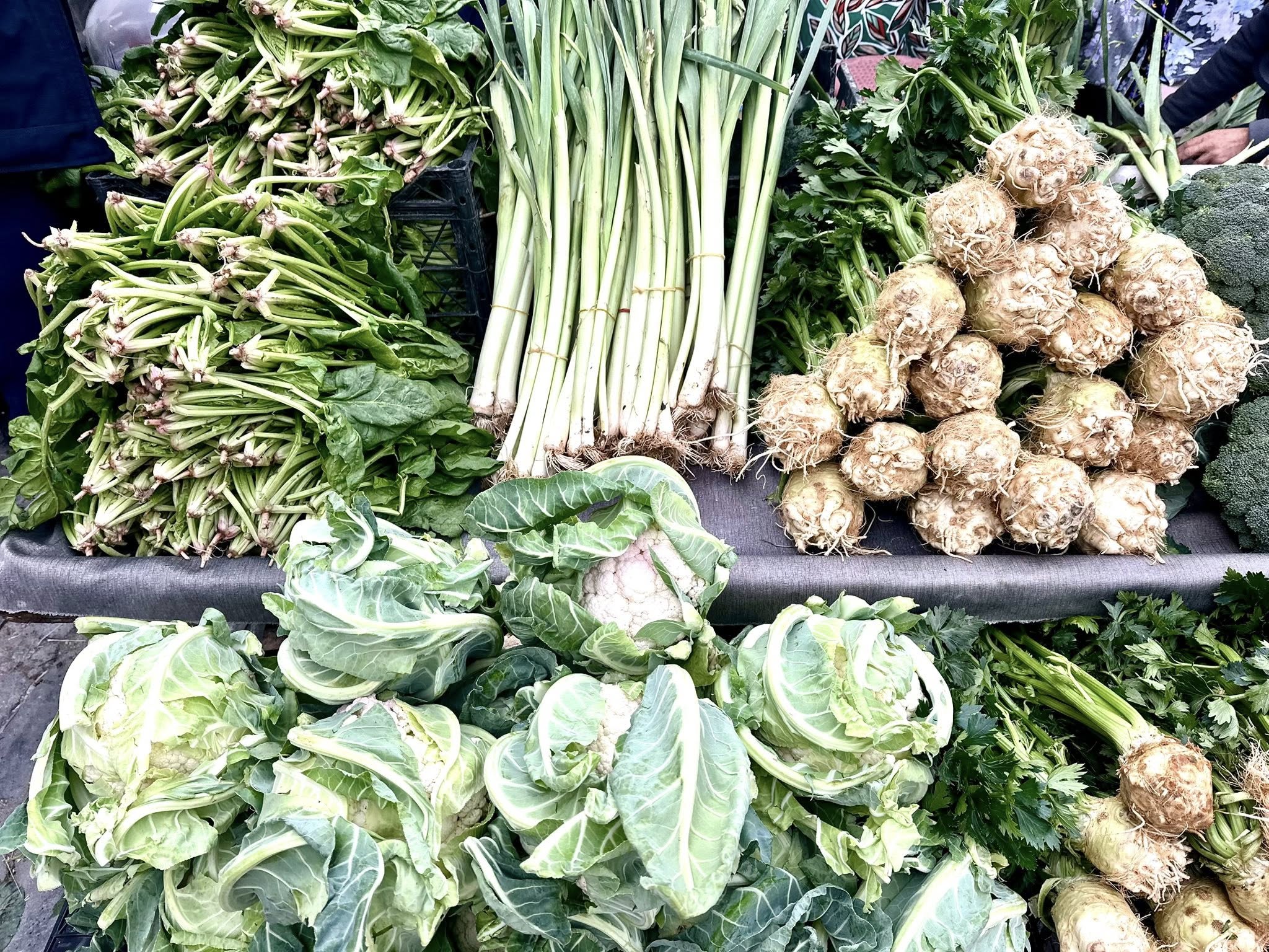 594523136 1173604018290346 4472410376540831224 N