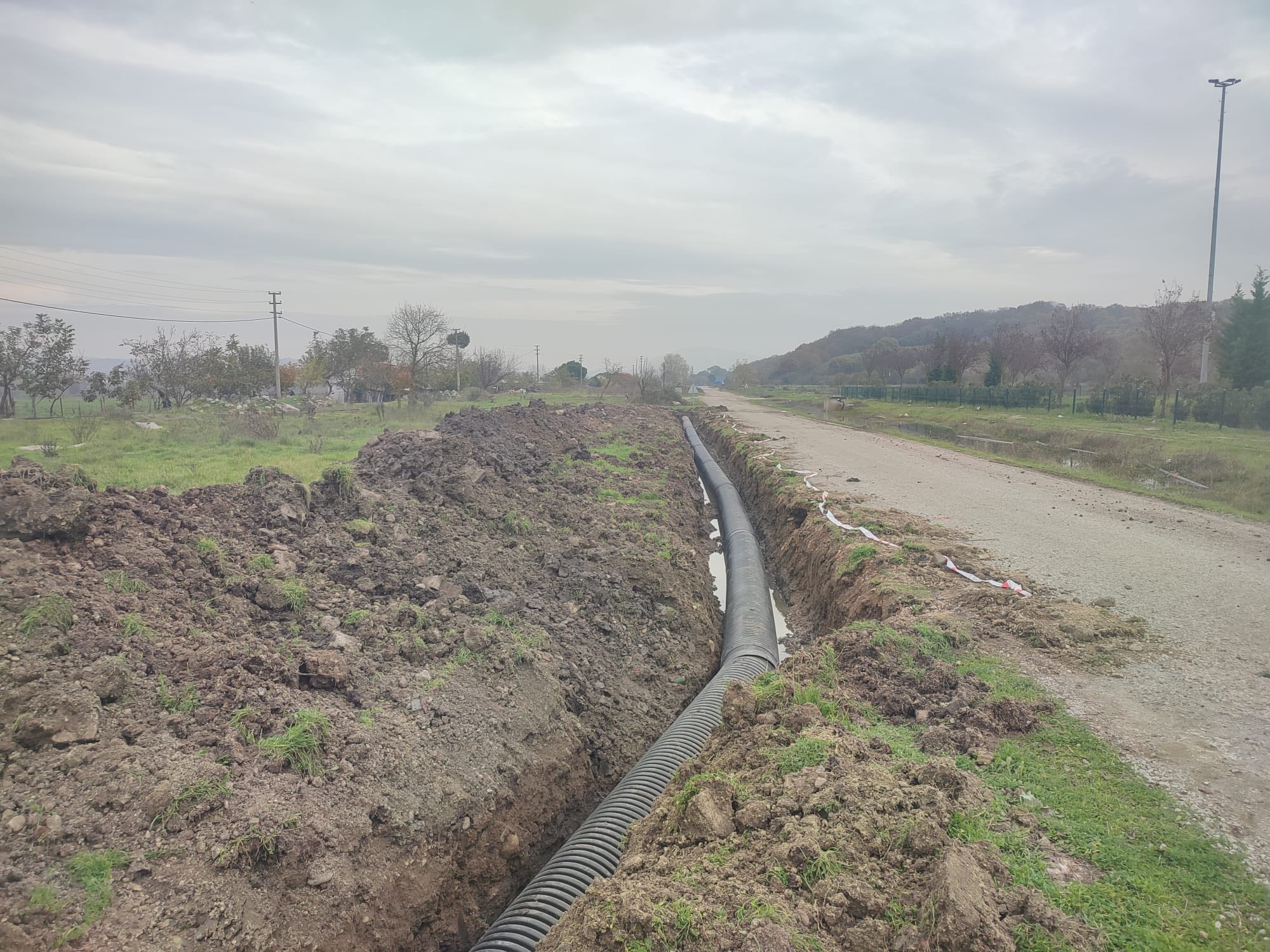 594546496 122204868800335762 3145668325513716192 N