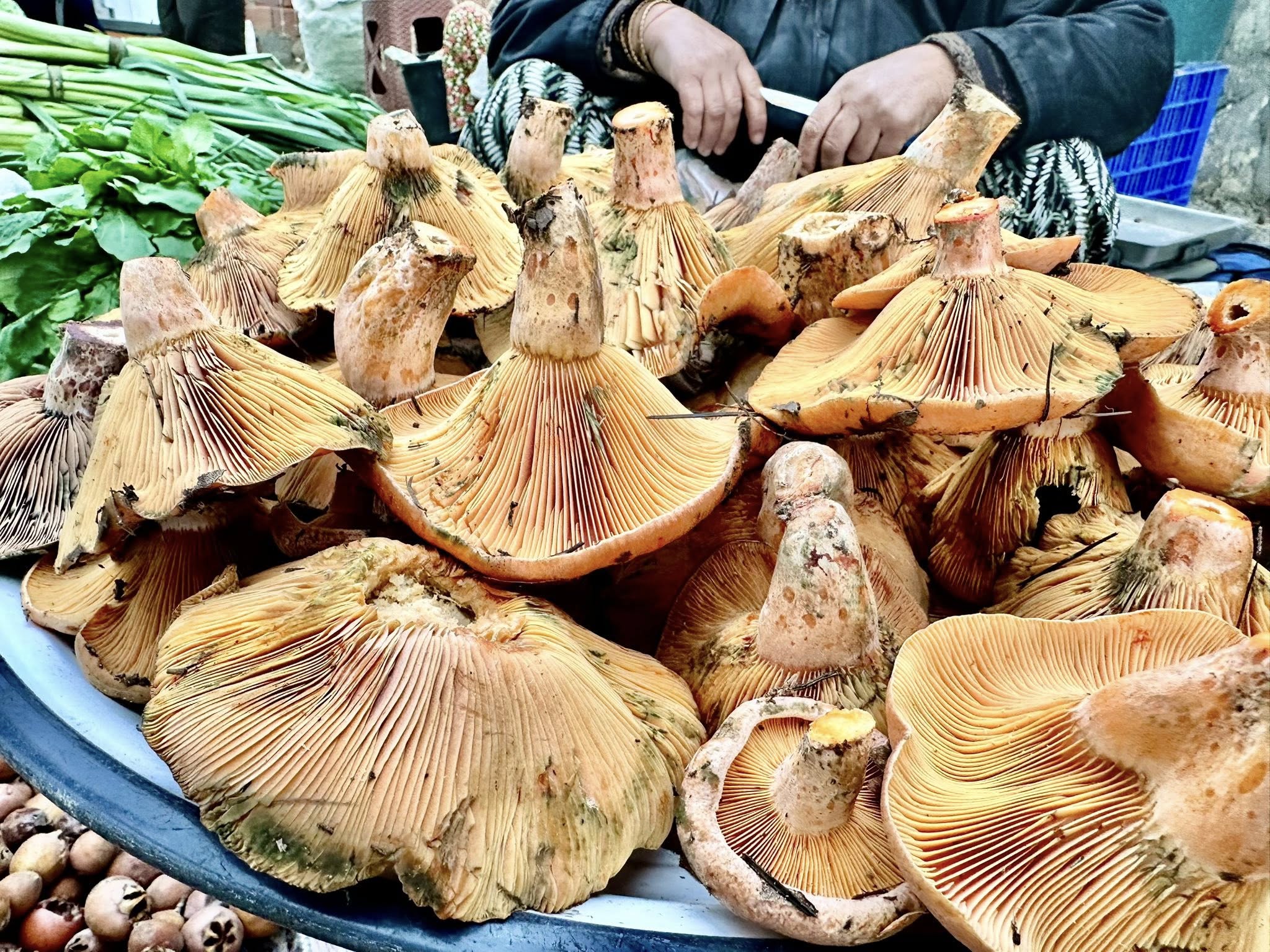 594547066 1173603584957056 1173231821739738799 N