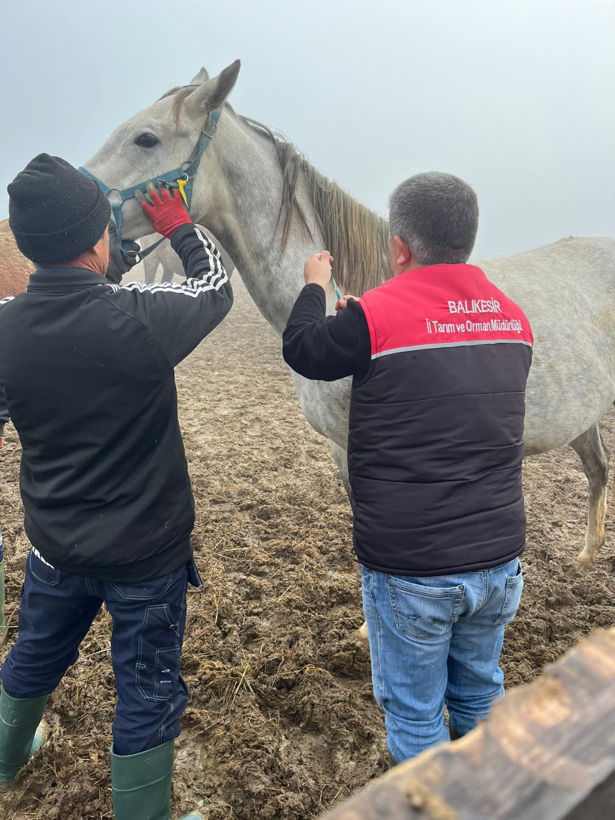 594549775 1258651062972420 8139344840407619671 N