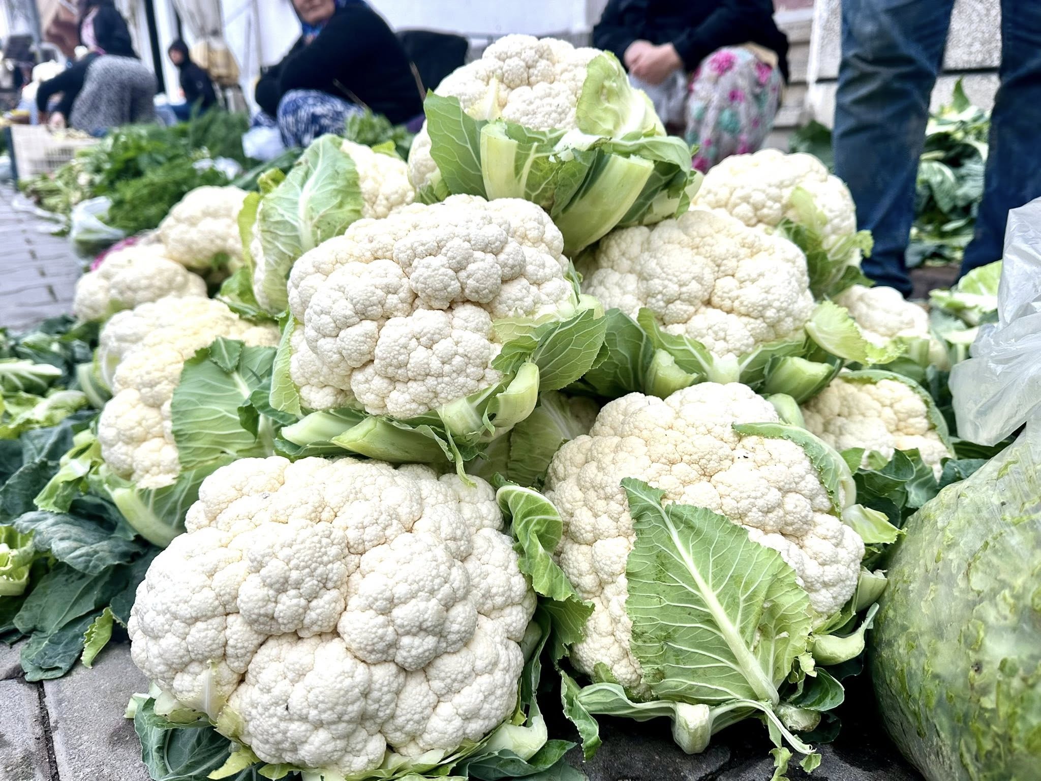 594963103 1173603221623759 1220018601999605527 N