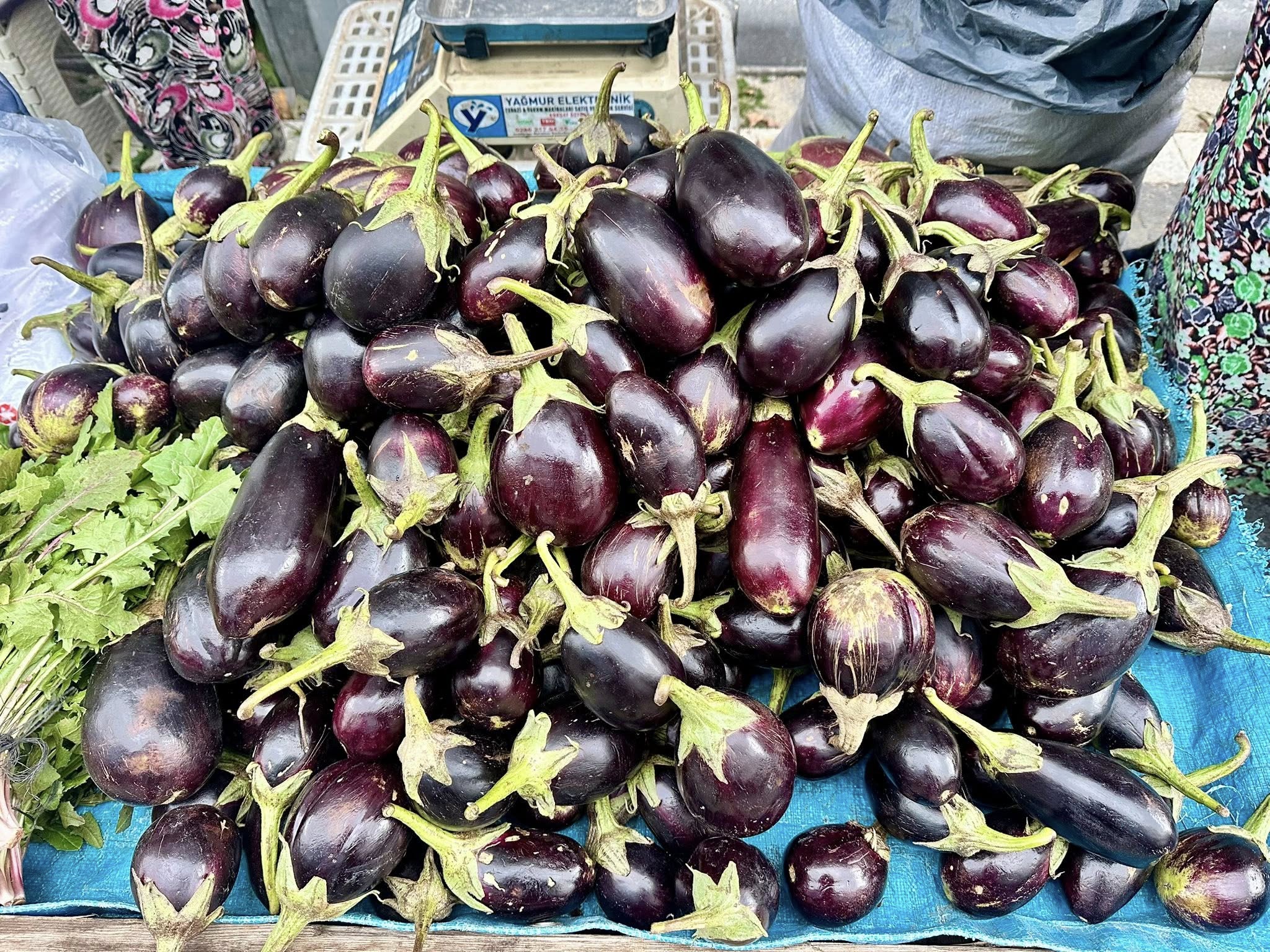 594966116 1173603811623700 3335855201753622667 N