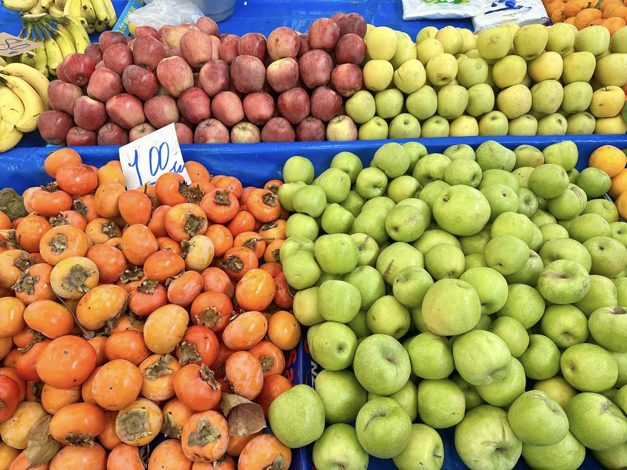 594966657 1173603651623716 4754454639444053698 N