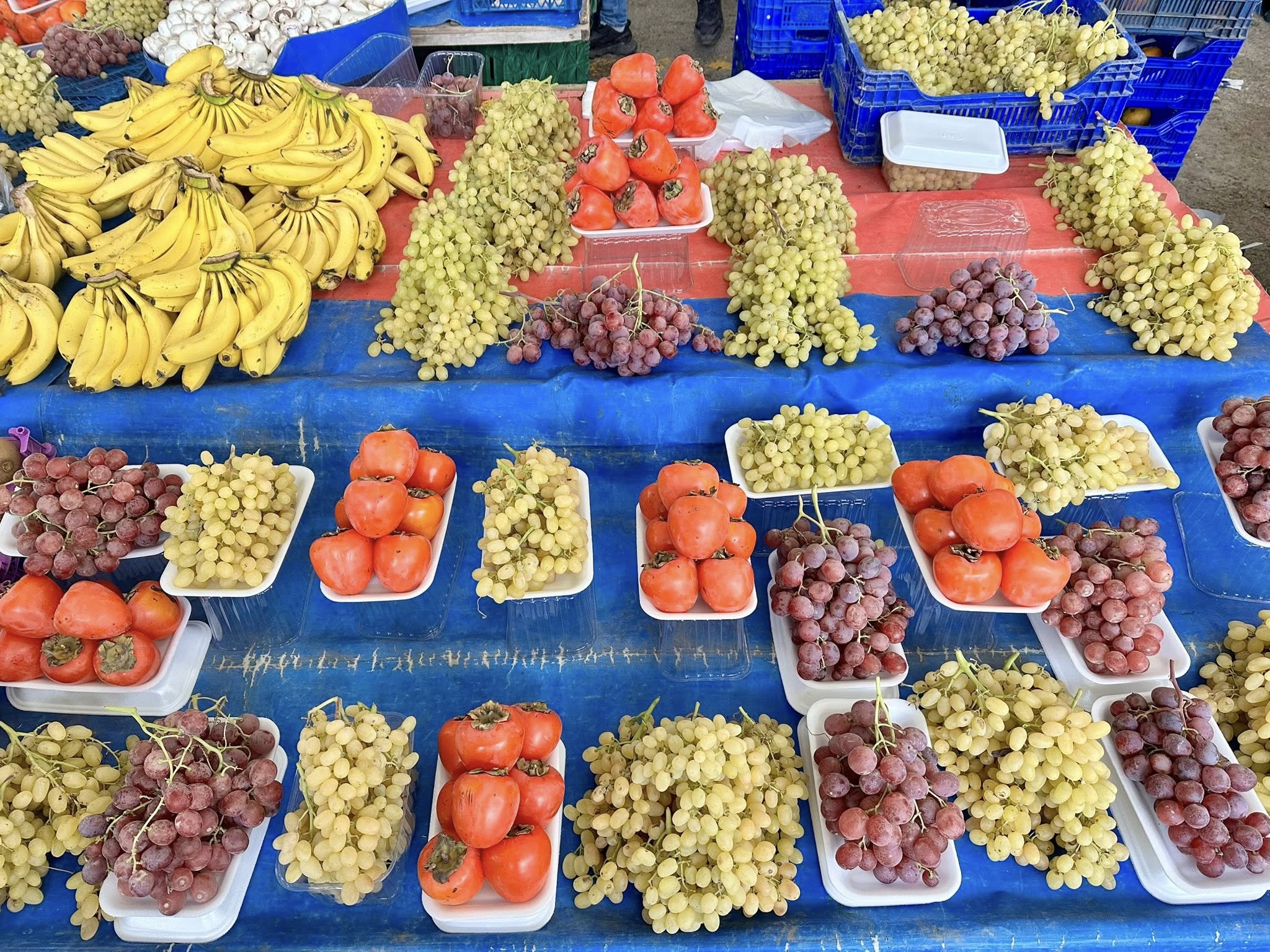 594975060 1173604024957012 7677314948382048648 N