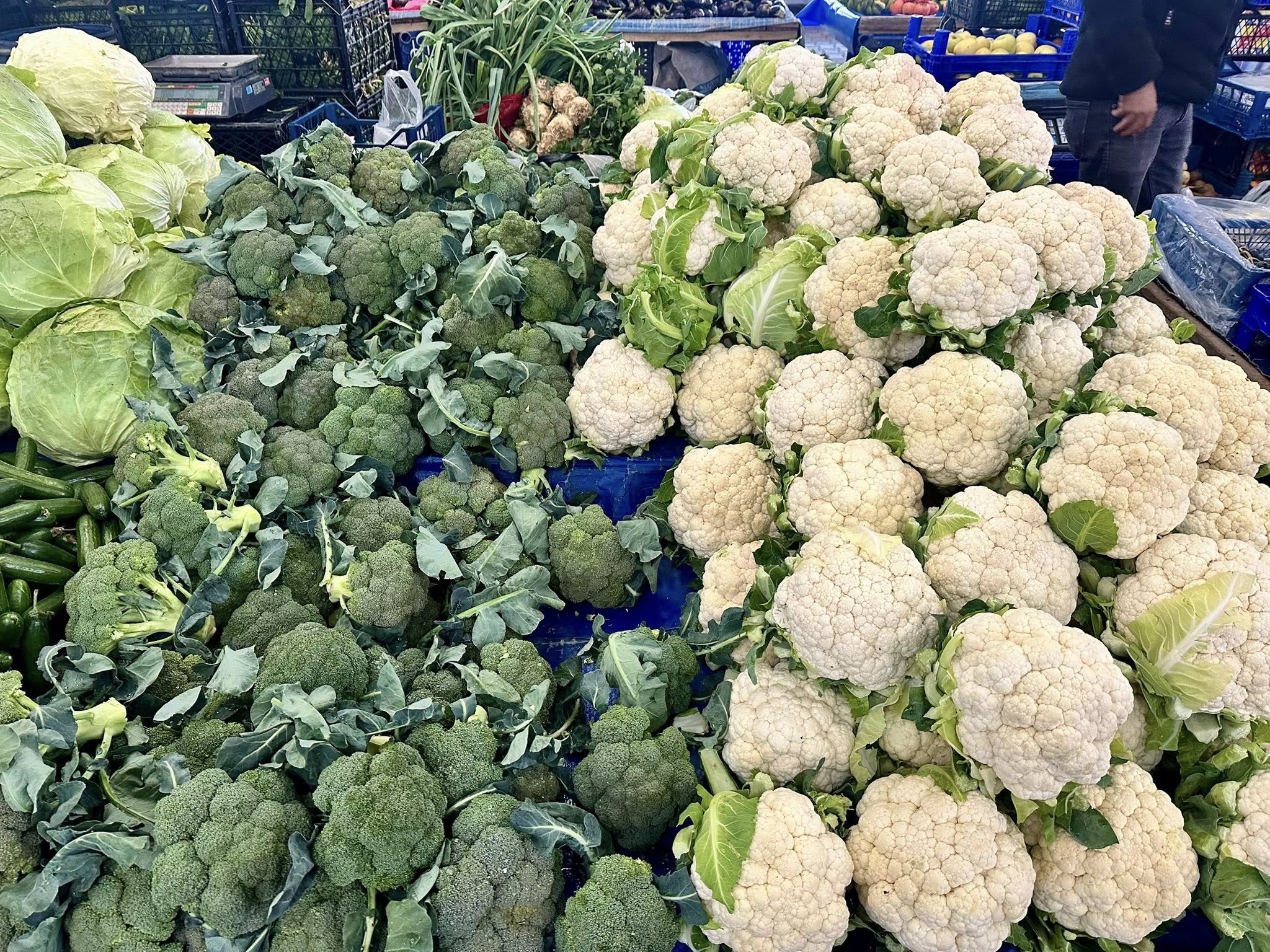 594975536 1173603878290360 7772187453574754185 N