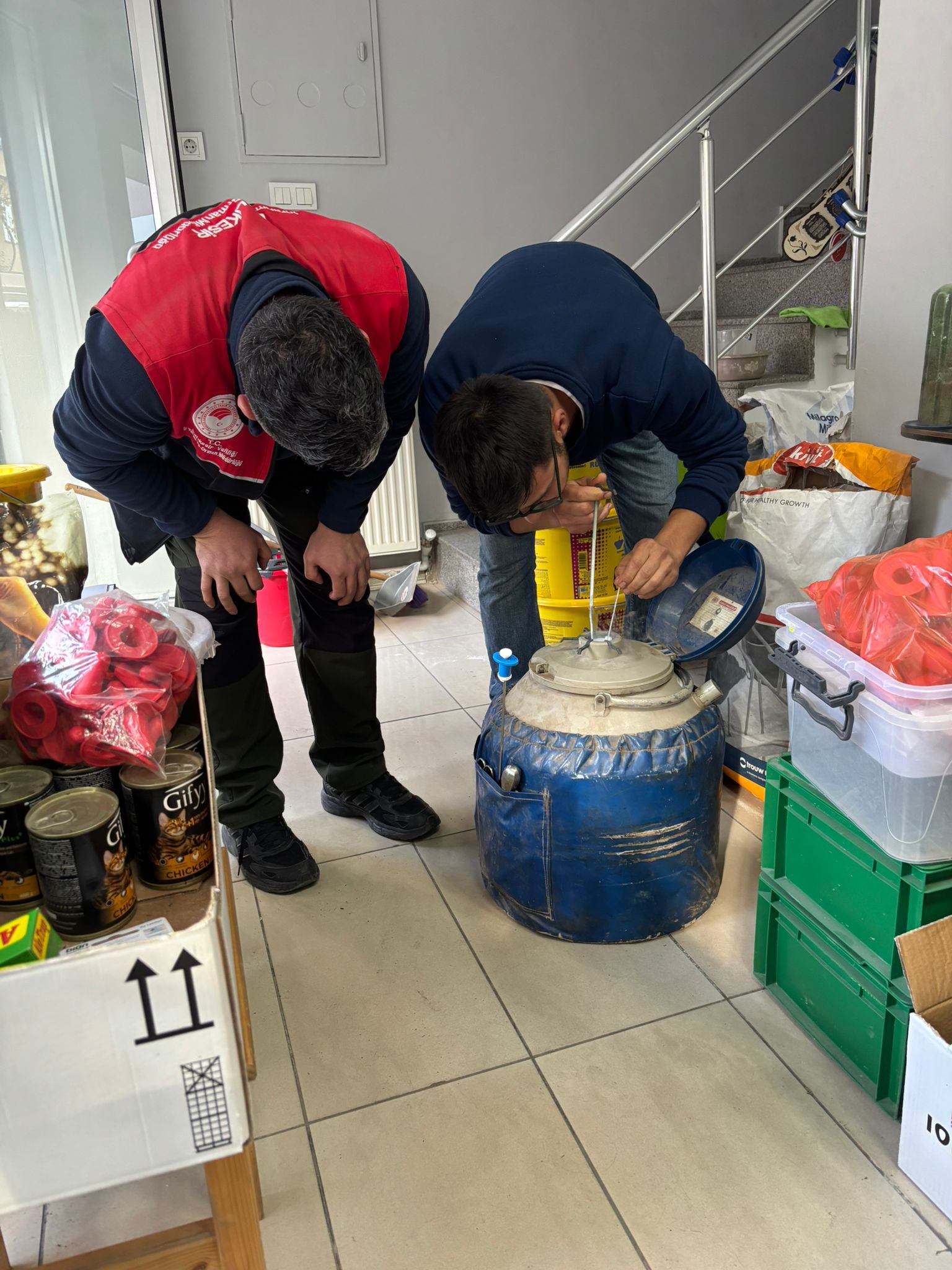 594976742 1259029772934549 4563637173831830879 N