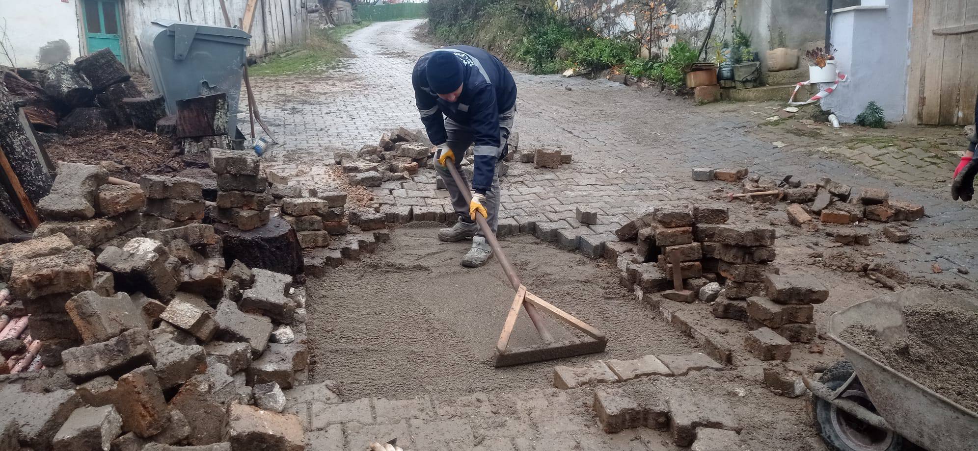 595117262 1176420378024291 5183158546301439636 N