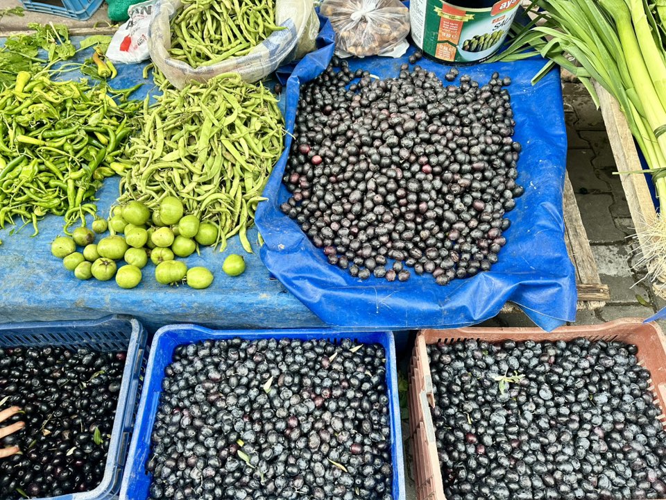 595544887 1173602331623848 4134760640324516478 N