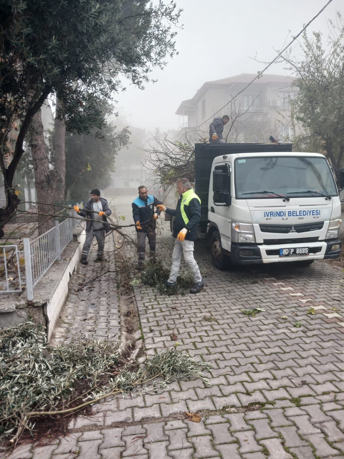 595607688 122204869034335762 2576273409610452759 N