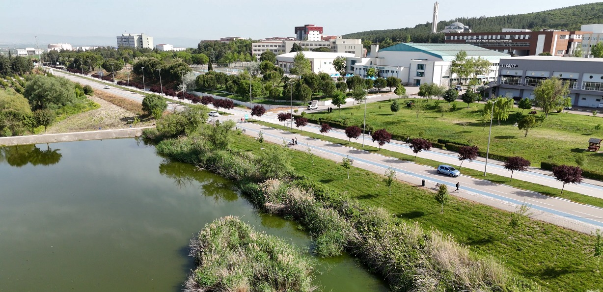 595855407 1289448313212357 2130751919828814883 N