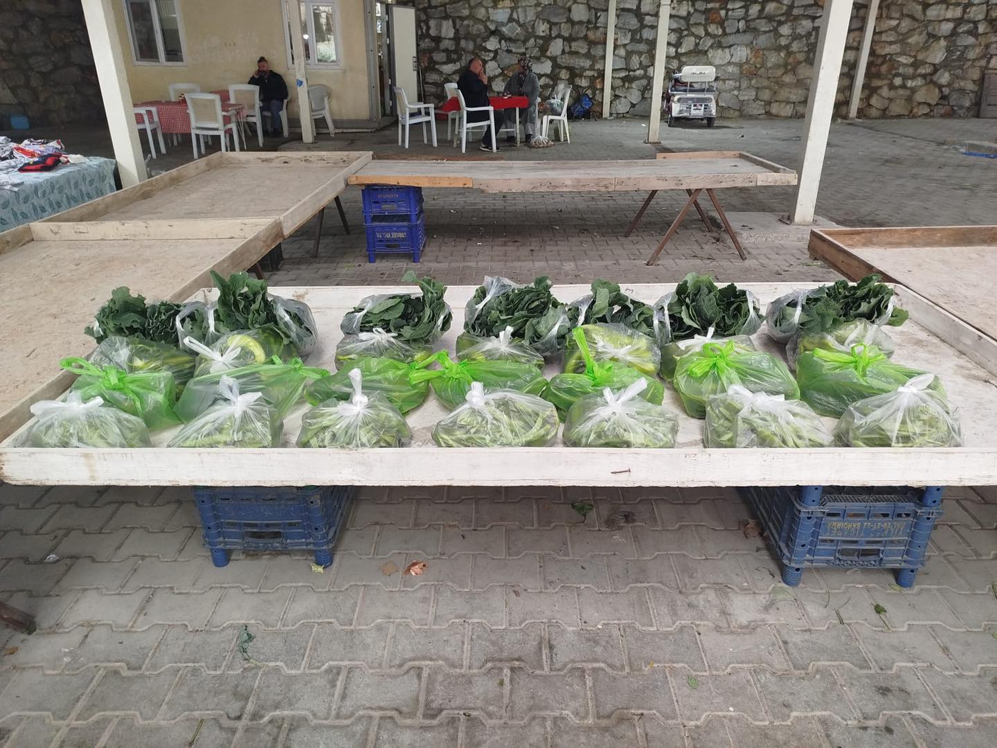 595977085 1239704088191266 9161287338947587719 N