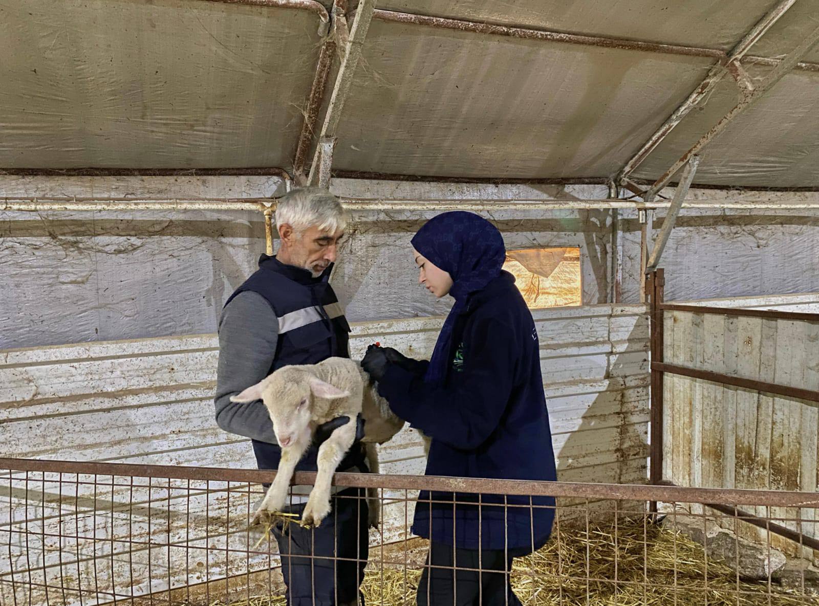 596481578 1177145367951792 2959579995948245730 N