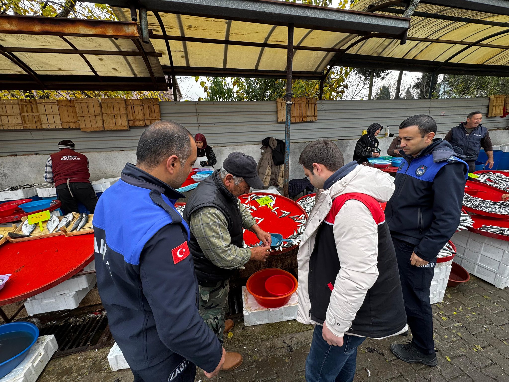 596576031 122204869838335762 3801761294915979740 N