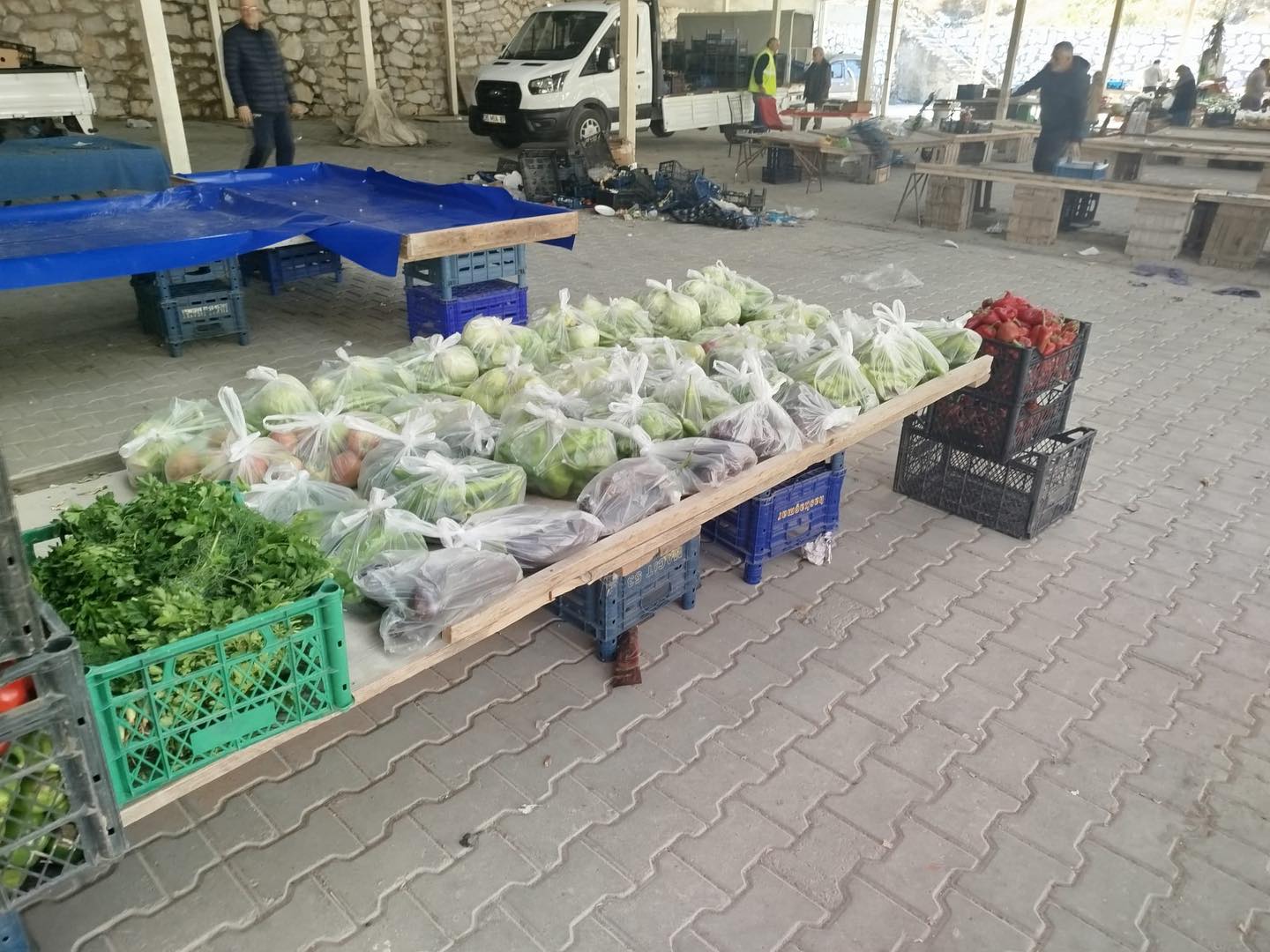 597238151 1239704084857933 7006368776961631370 N