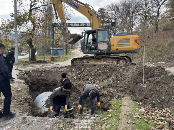 597380846 122205584486335762 6877539165884676086 N