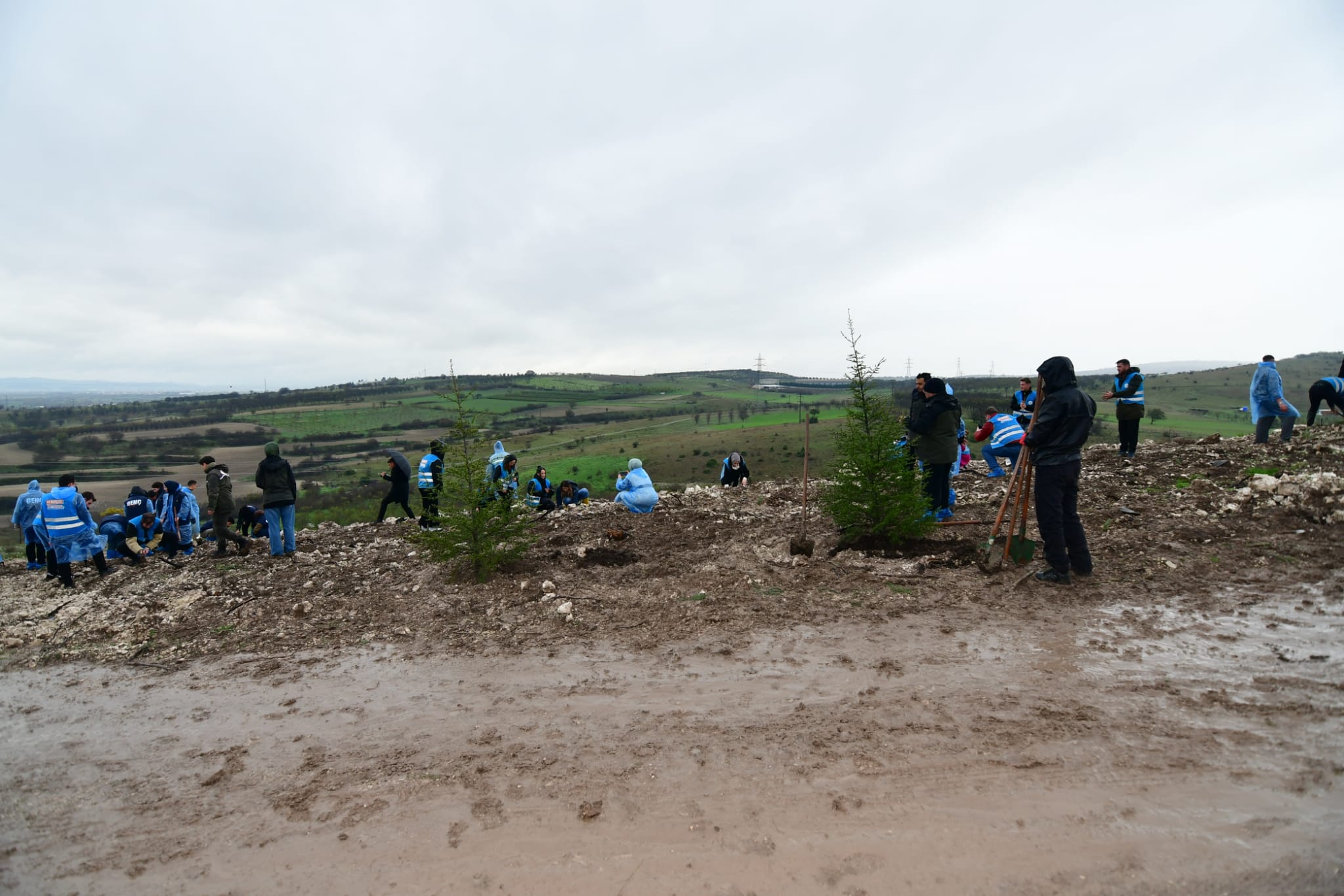 597799611 1314875577347444 7307303363822781156 N