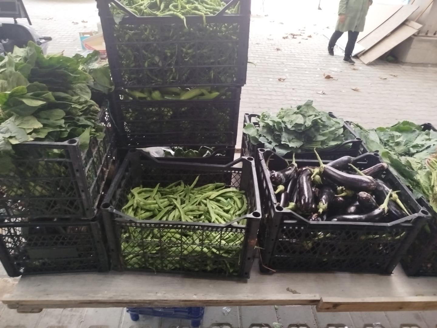 597815803 1239704078191267 2133614305861561785 N