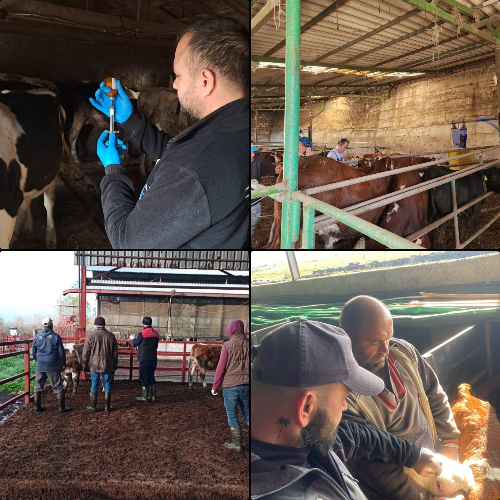 597822195 1263883705782489 6199007081569594483 N