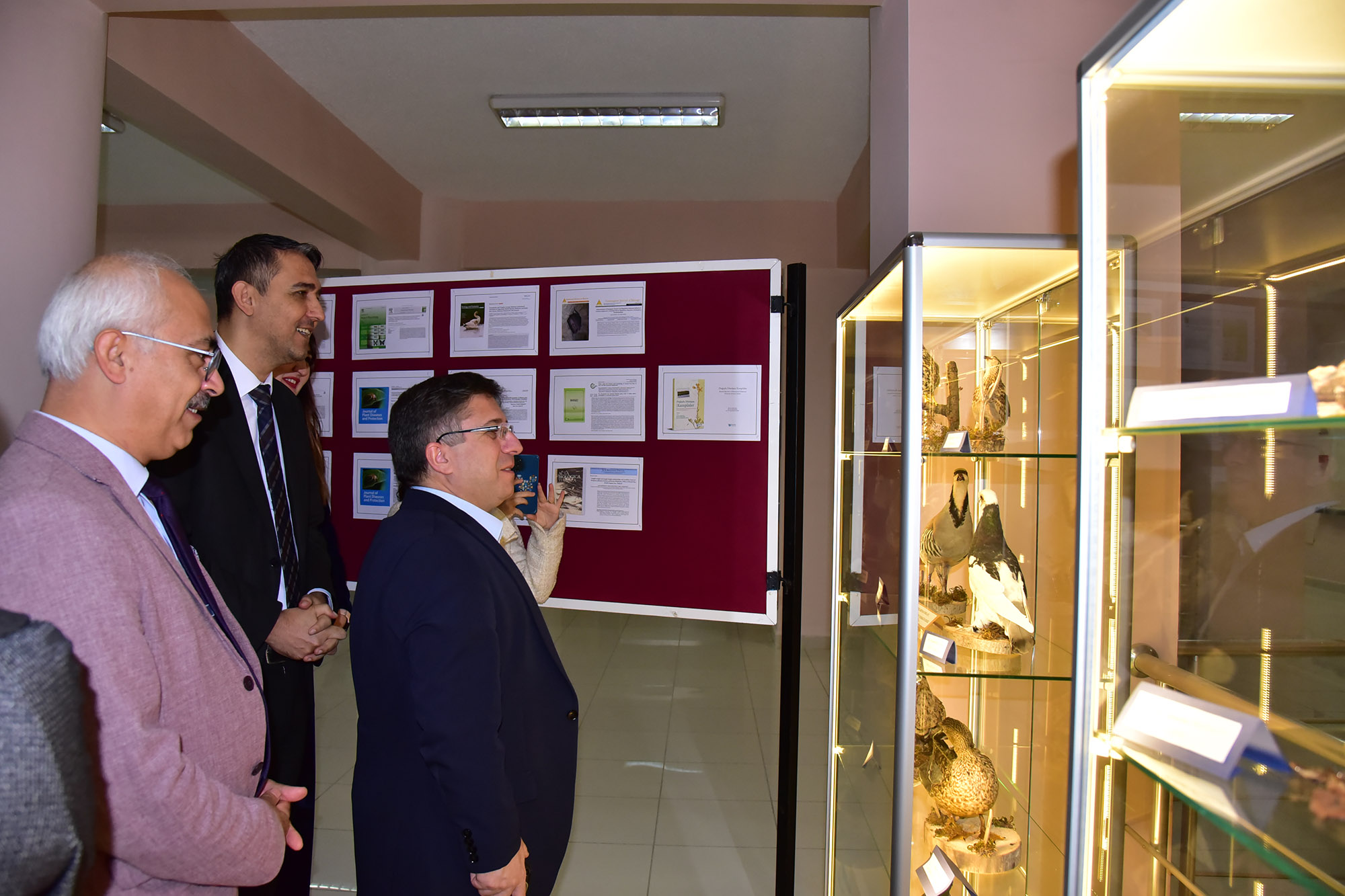 597900859 1297725162384672 1201916301213515139 N