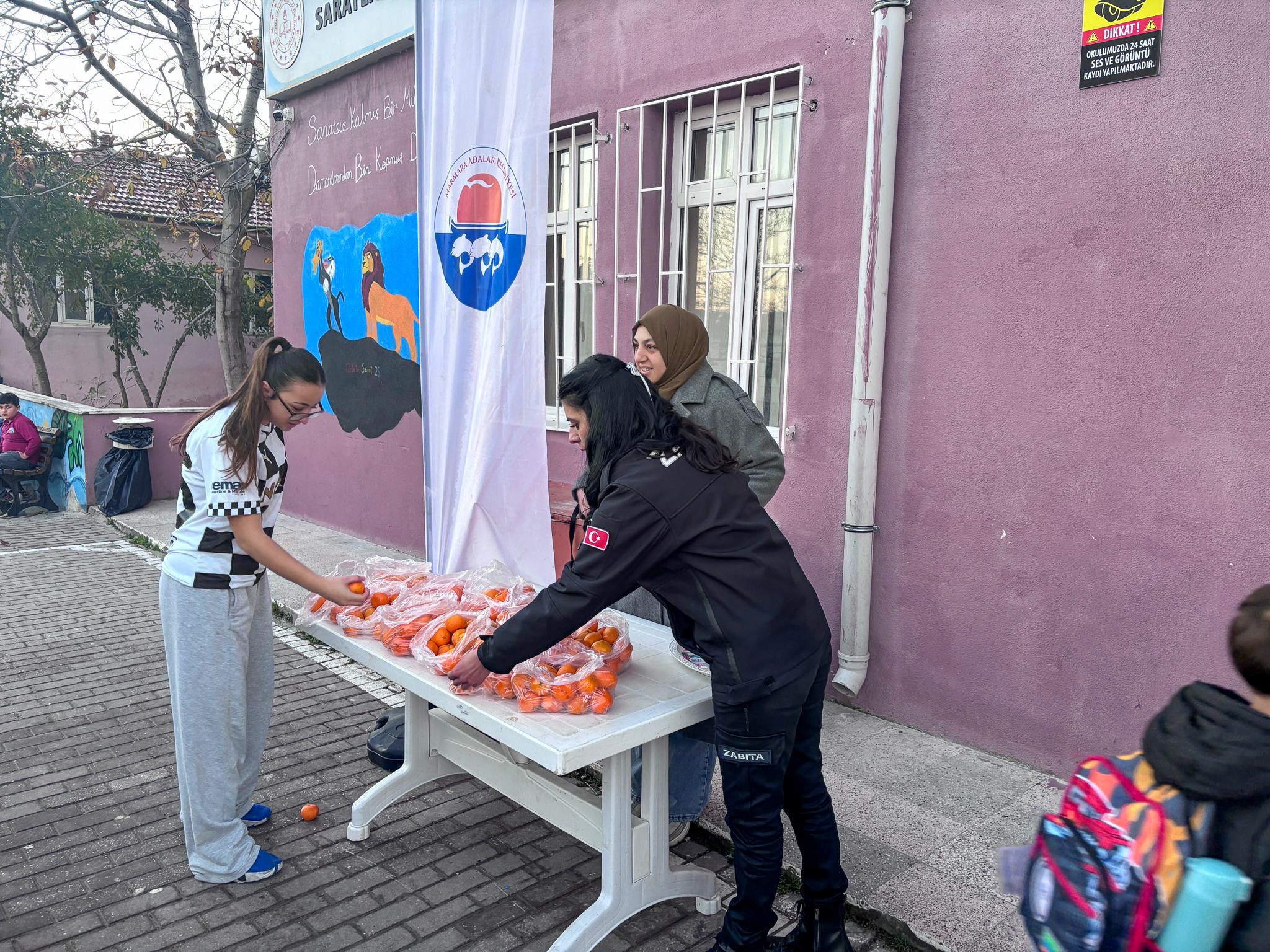 598065088 1243680354460306 9039339373577084705 N