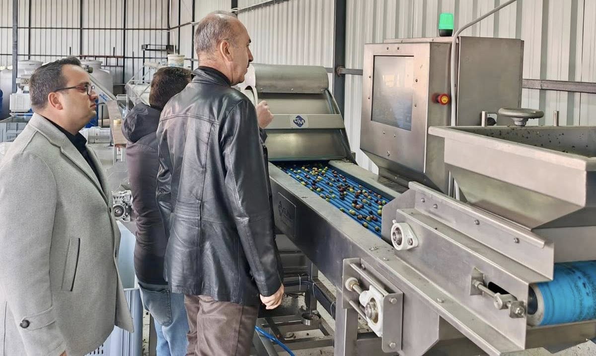 598567390 1267191915451668 4069206902006975350 N