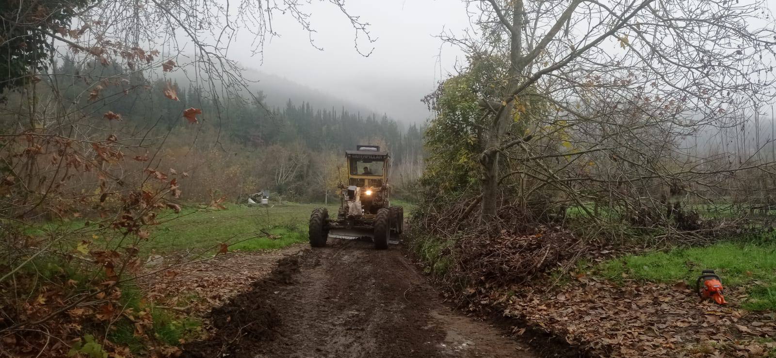 599462517 1180061027660226 8620519091354878726 N