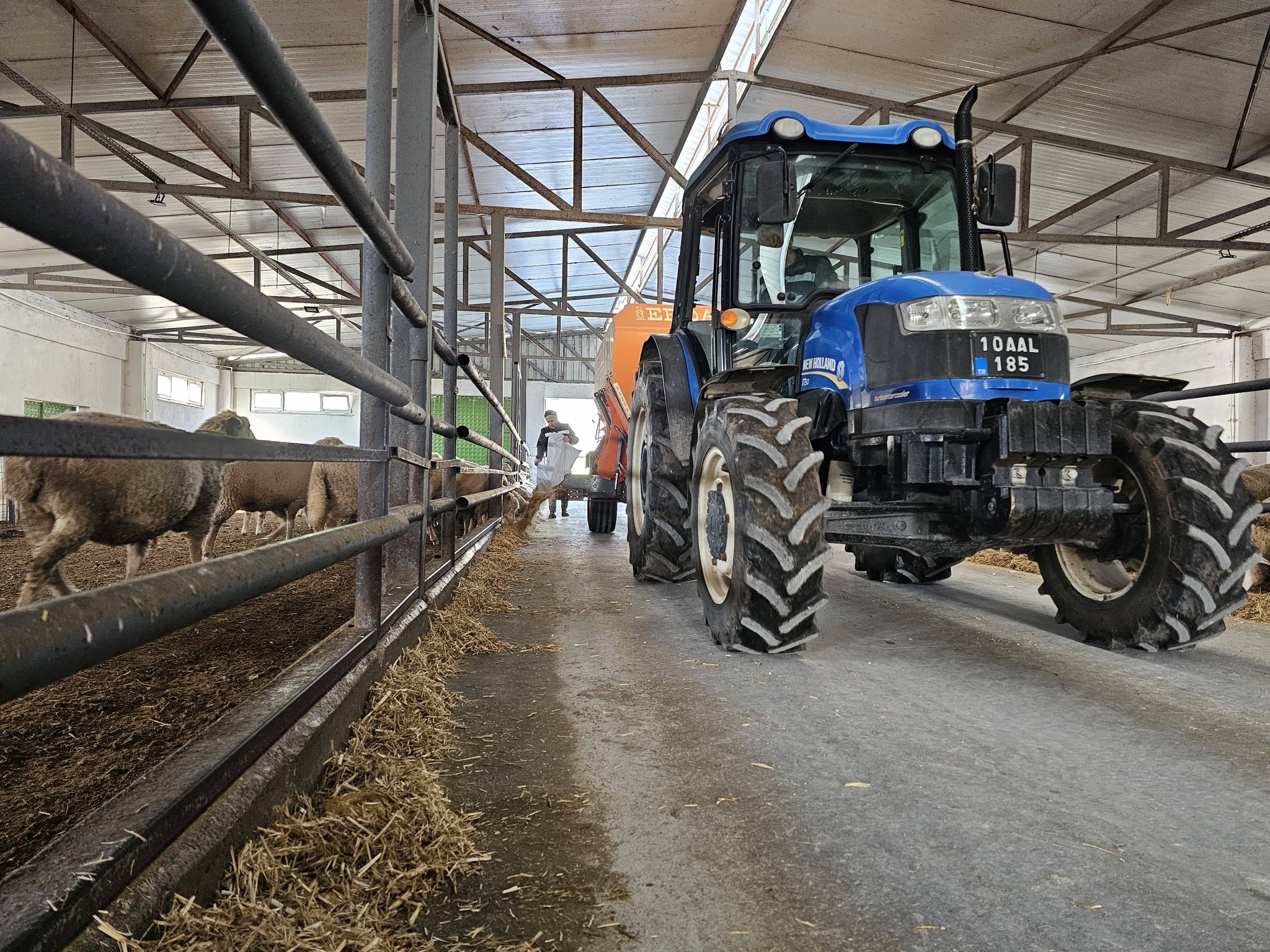 599575557 1181538267512502 3848192273230569180 N