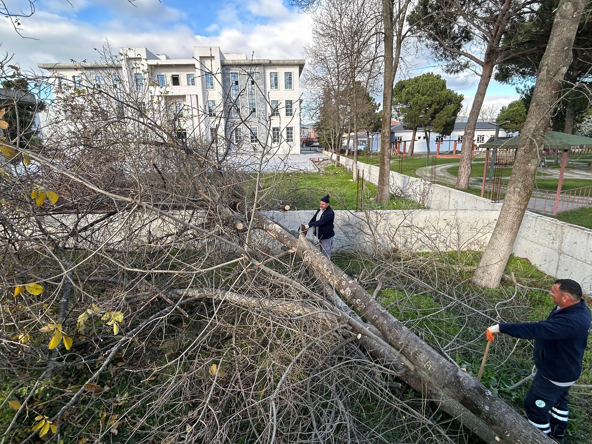 599700904 1181539457512383 5310613331063874639 N