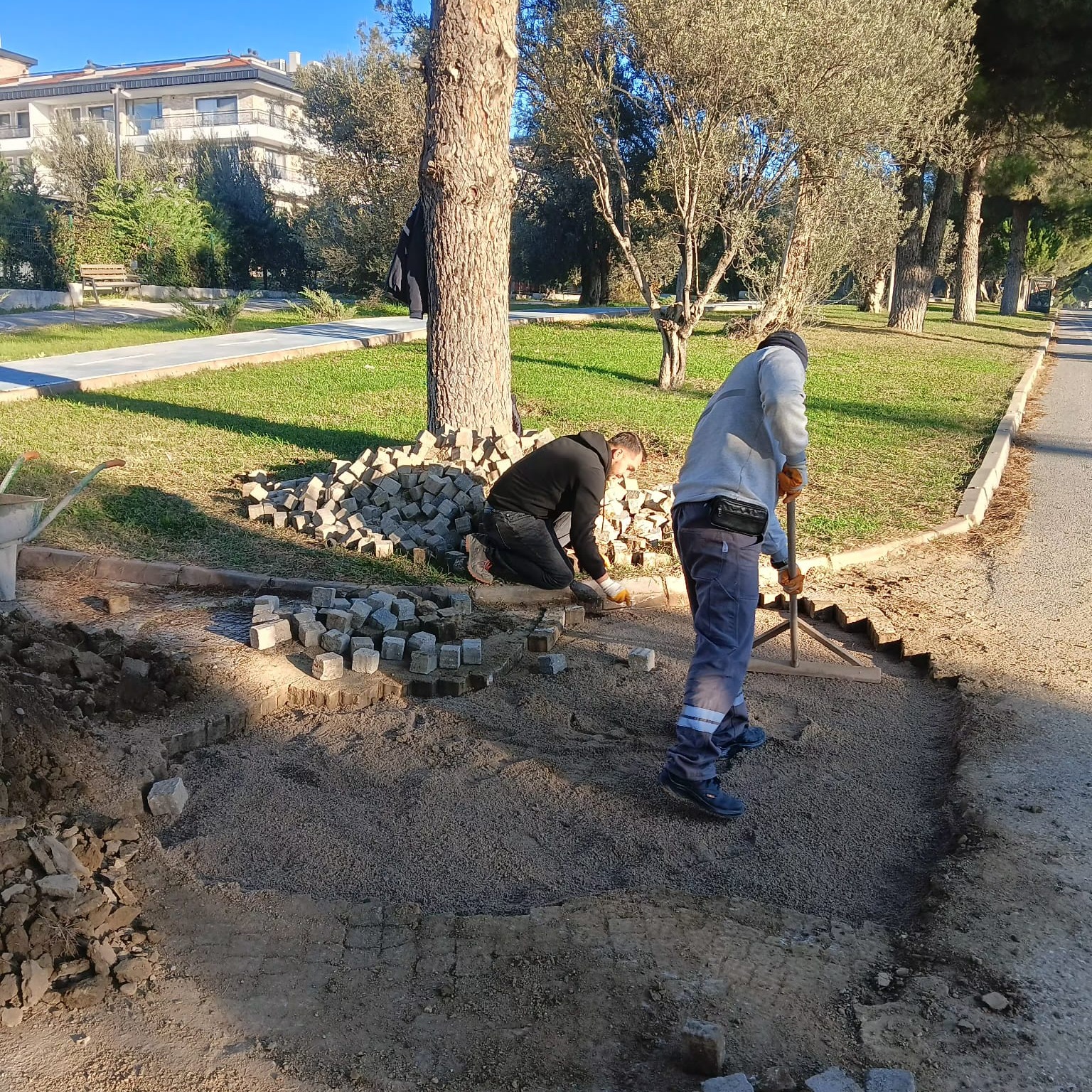 599940797 870493335341693 2431257134754947076 N