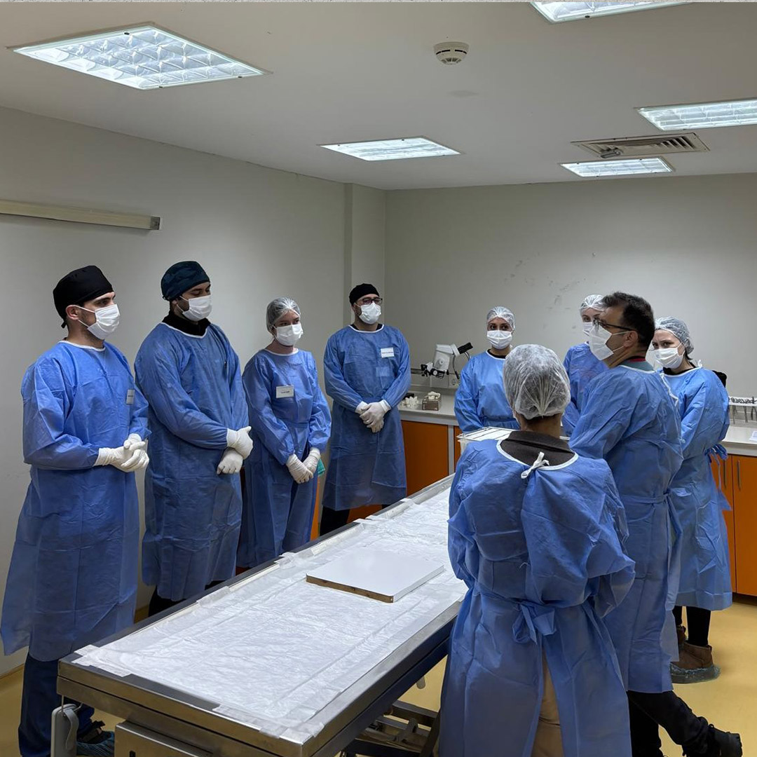 599949439 1299253292231859 7301619524656622986 N