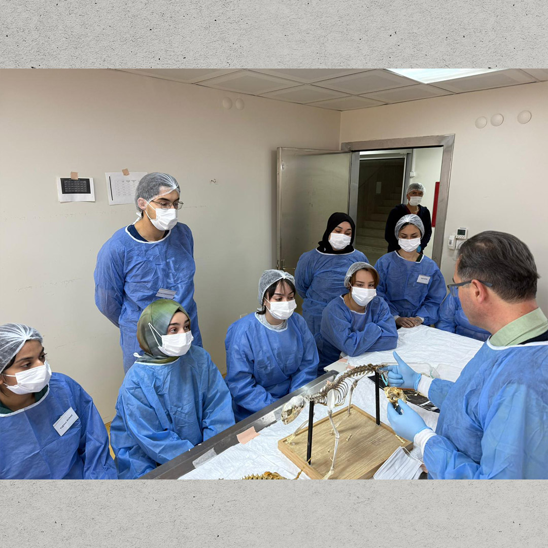 599953193 1299253322231856 4999641607842441619 N