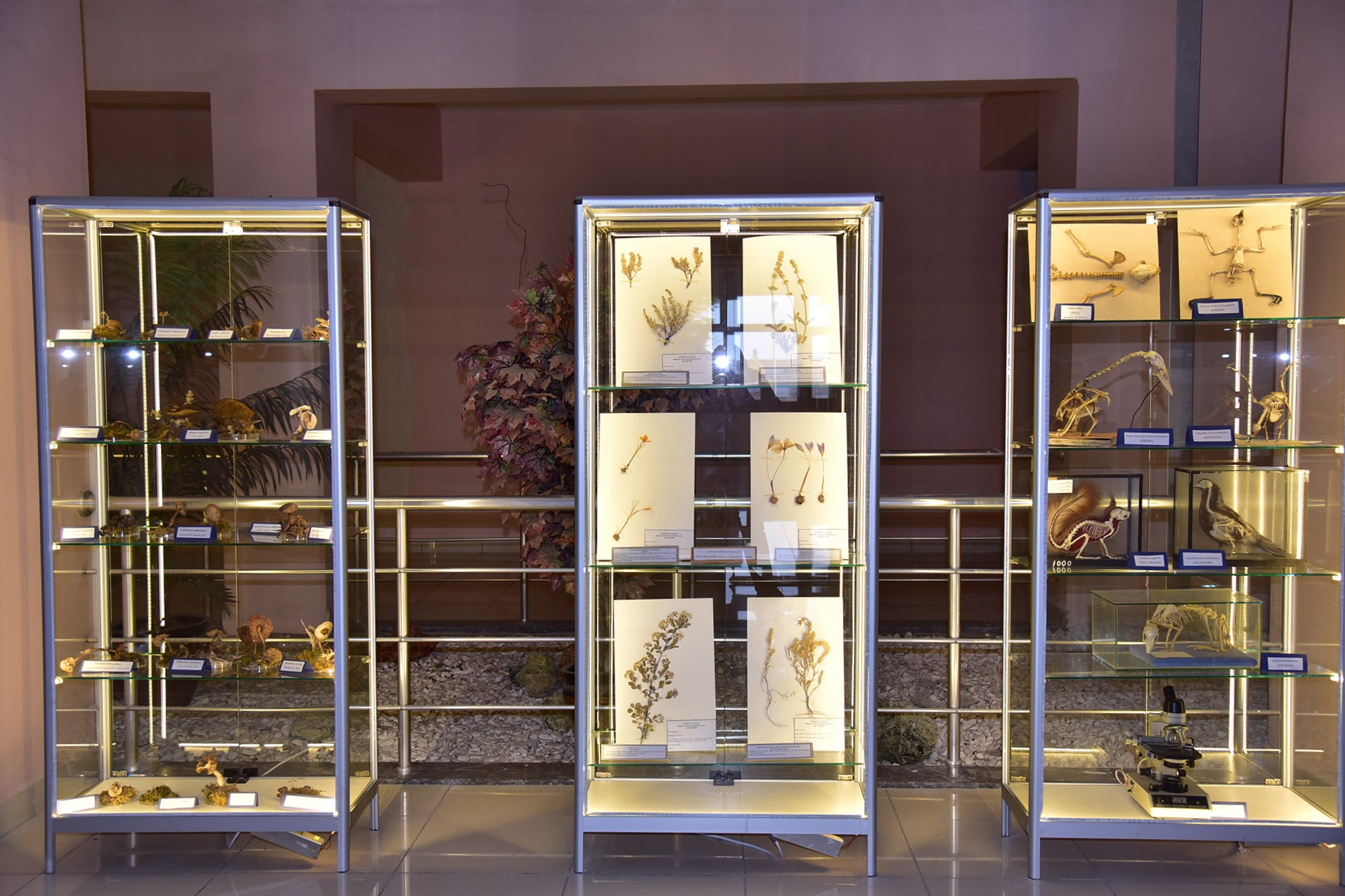 599962417 1297724932384695 4508881922436107570 N