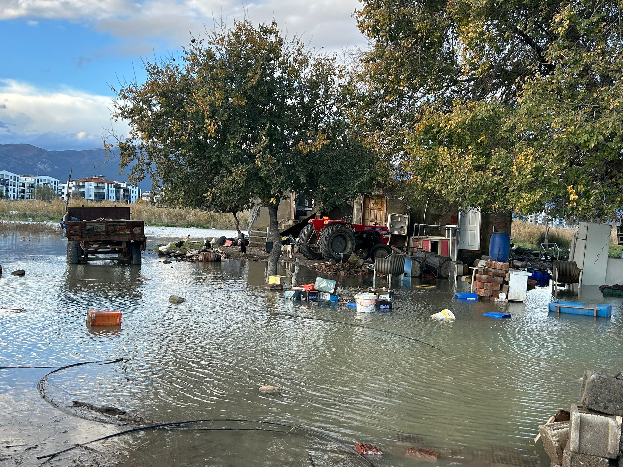 5E95C937 1769 4290 Bd99 52Ca976Aebcc