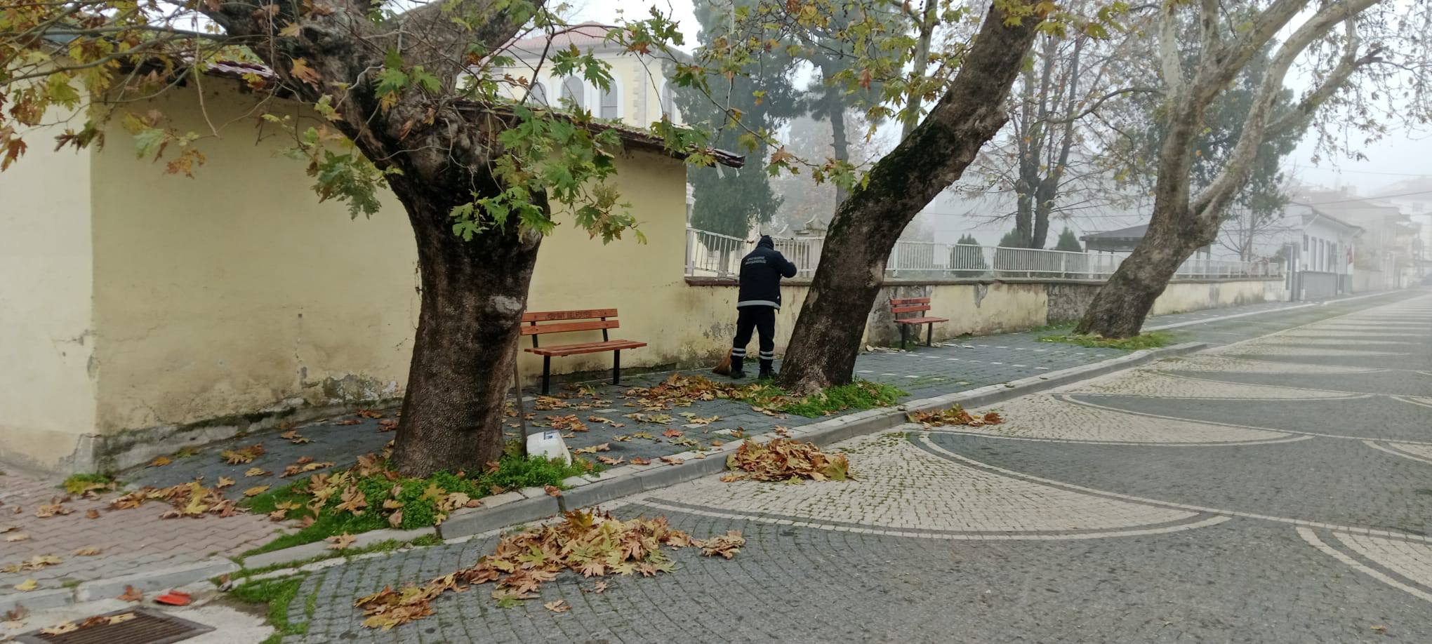 601348651 1182996274033368 8692412312305266206 N