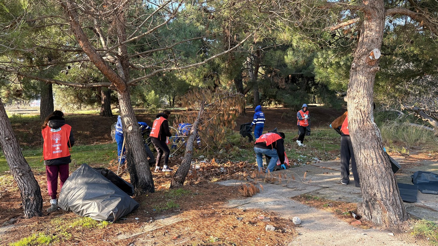 601790530 18339717601225400 6374893922763965109 N