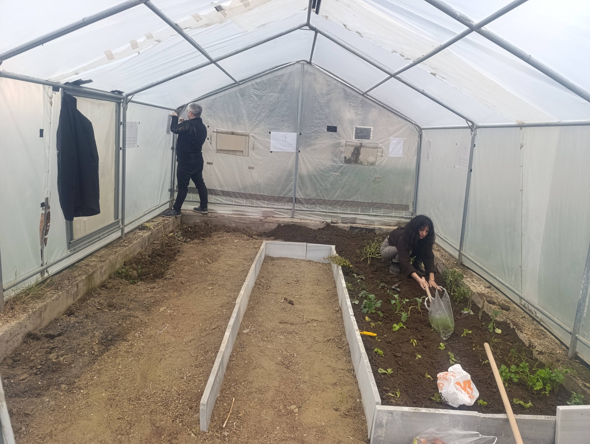 602320018 122154075668694862 697801539434070508 N